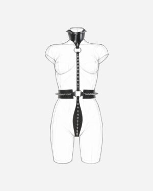 Black Swan Harness