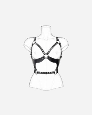 Homewrecker T01 Harness